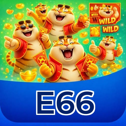 E66 segurança SSL 256-bit